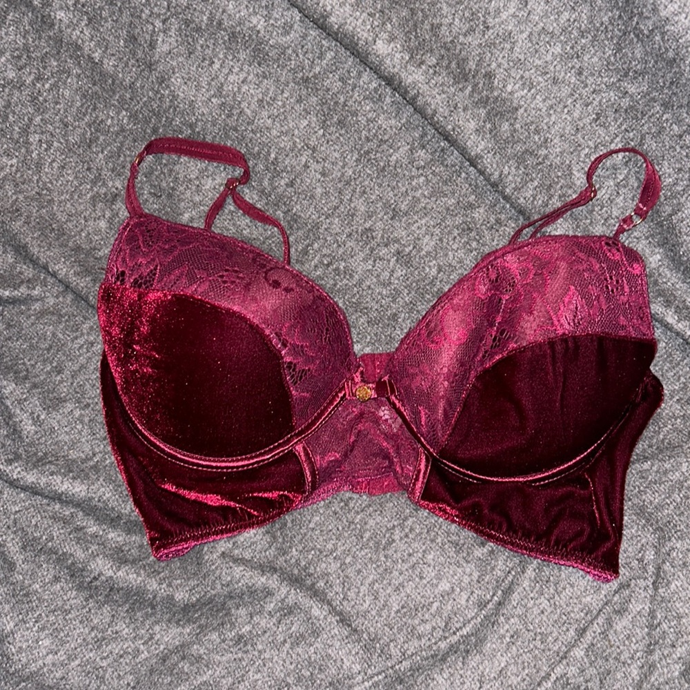 Daisy Fuentes velvet bra